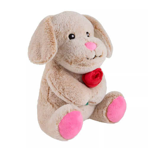 Chance Valentine's Day Dog Toy Plush for Interactive Play
