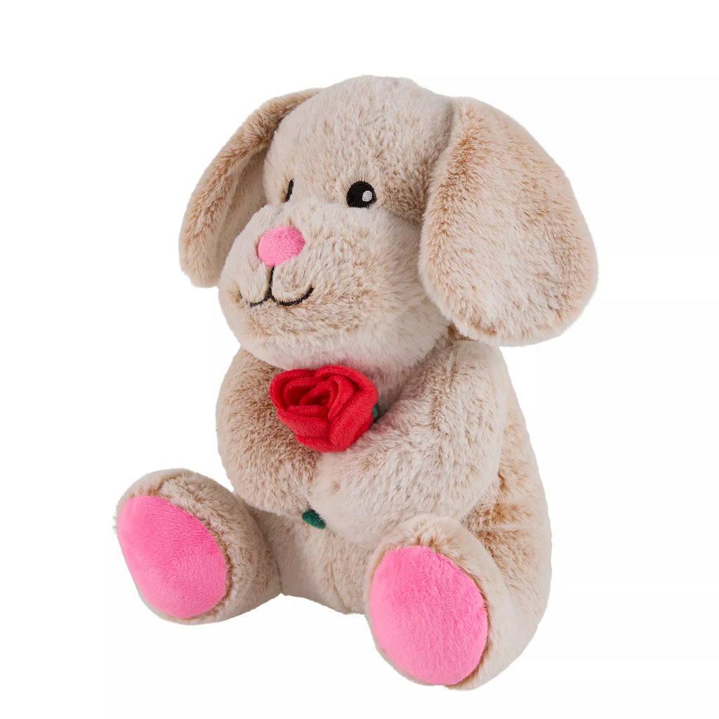 Chance Valentine's Day Dog Toy Plush for Interactive Play