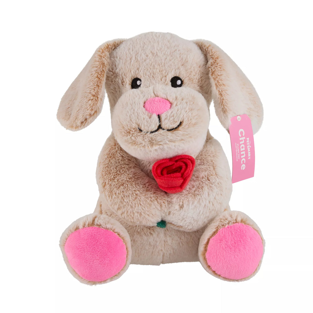 Chance Valentine's Day Dog Toy Plush for Interactive Play