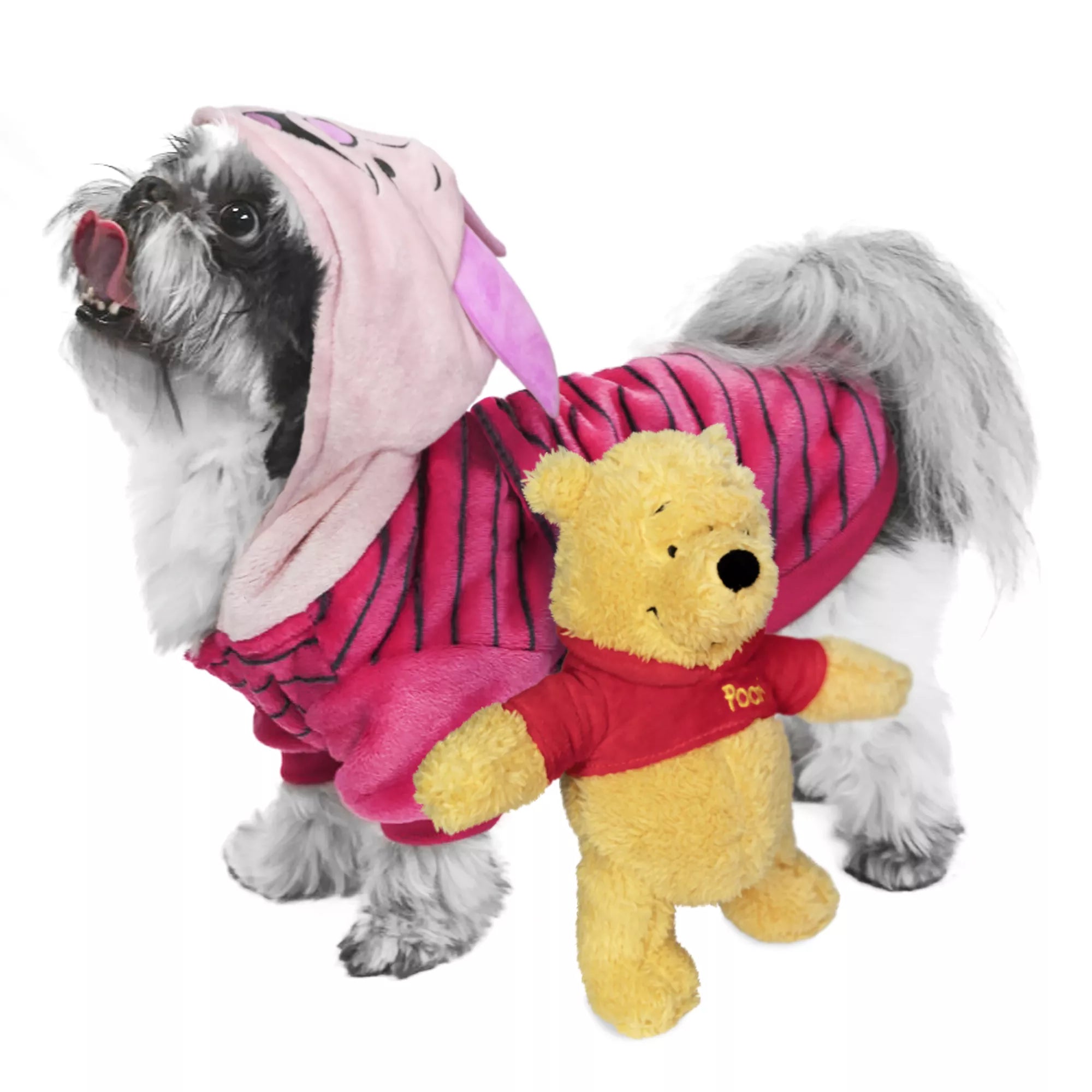 Winnie The Pooh Bear Dog Toy Plush for Interactive Play