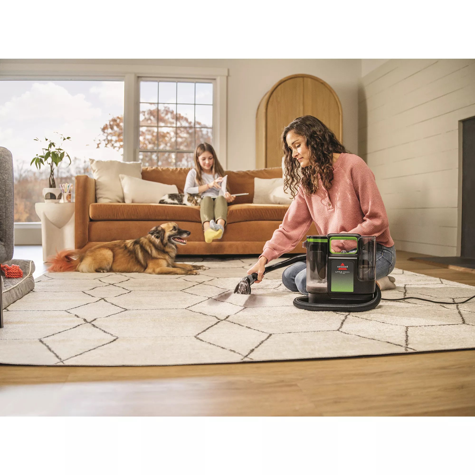 BISSELL Little Green Max Pet Portable Carpet Cleaner