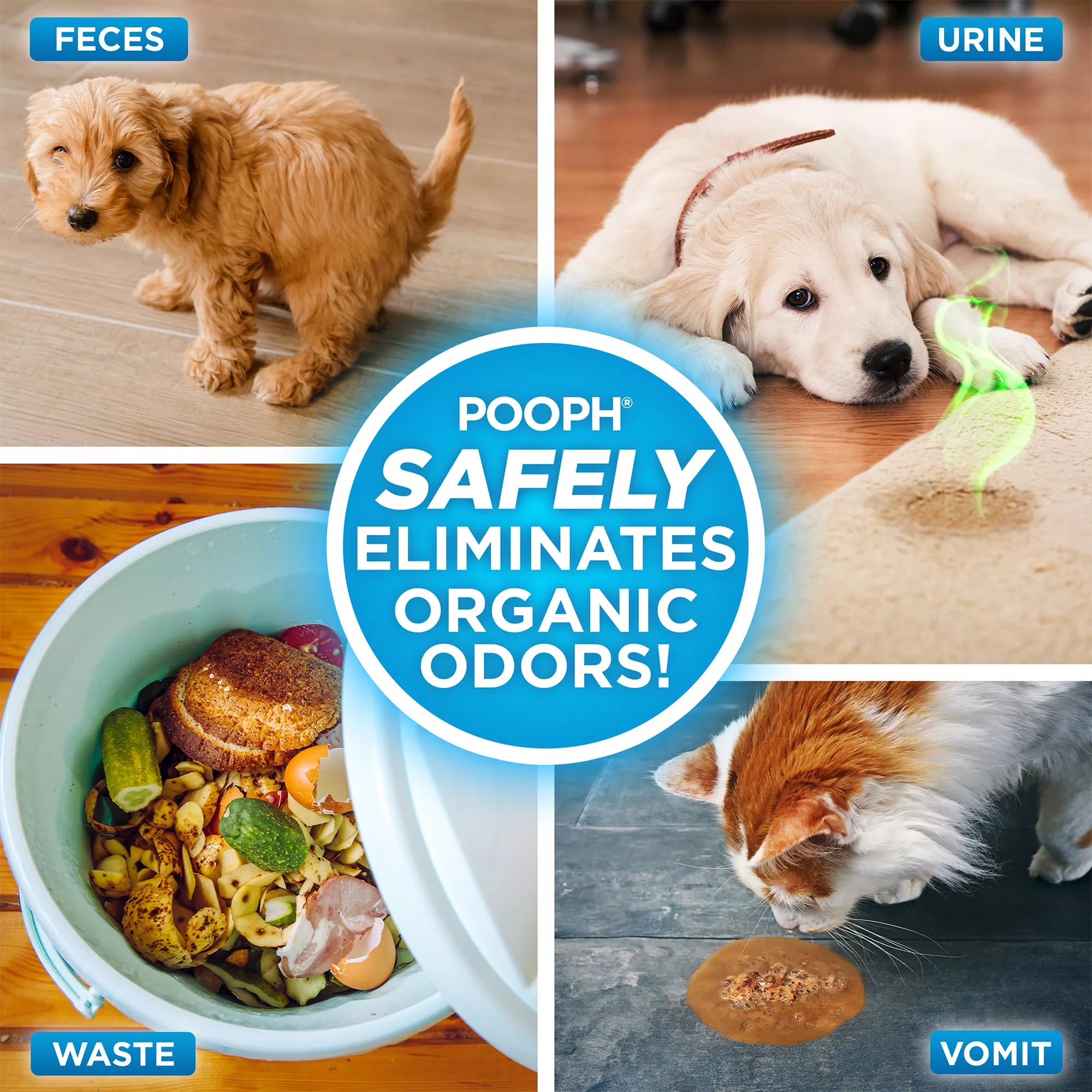 POOPH Pet Stain and Odor Eliminator 20 oz