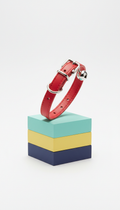 Leather Leash With Chrome Hardware